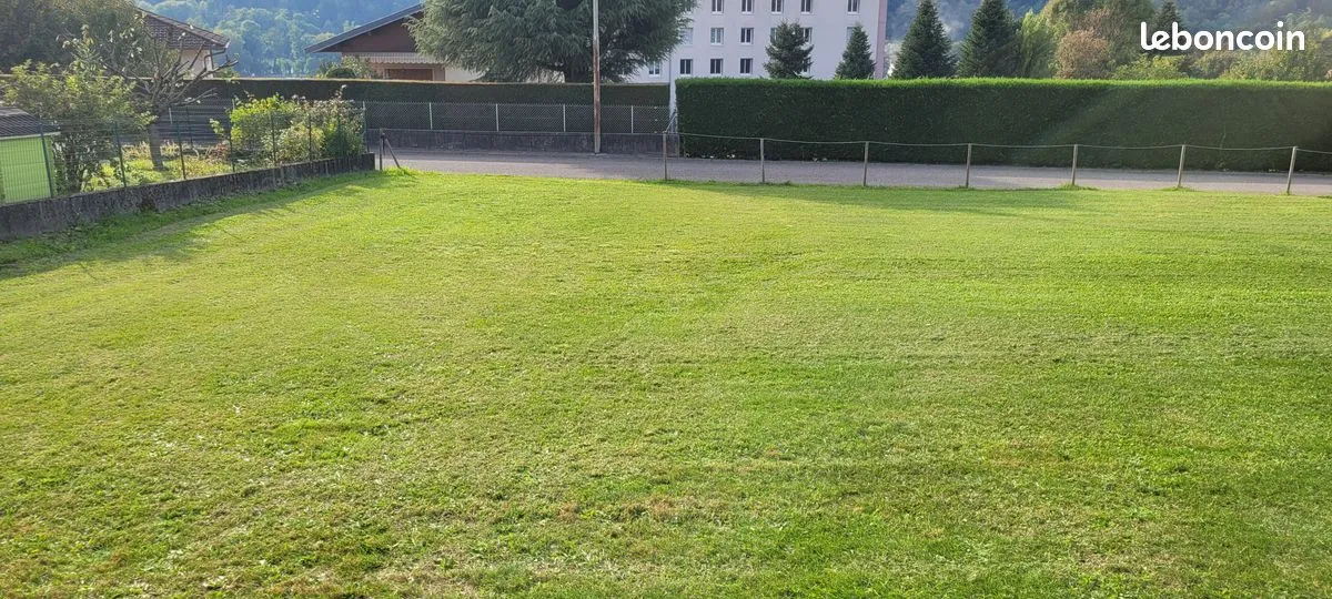 Terrain