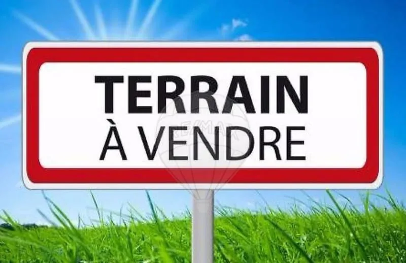 Terrain