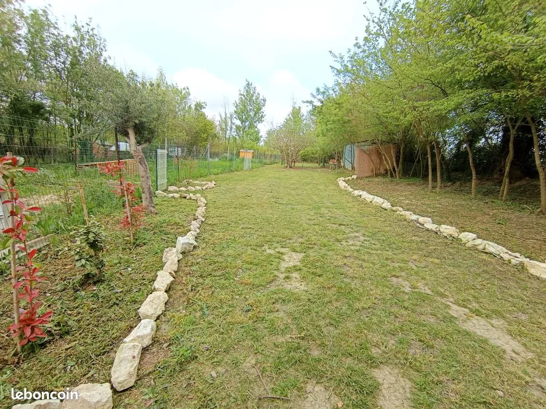 Terrain