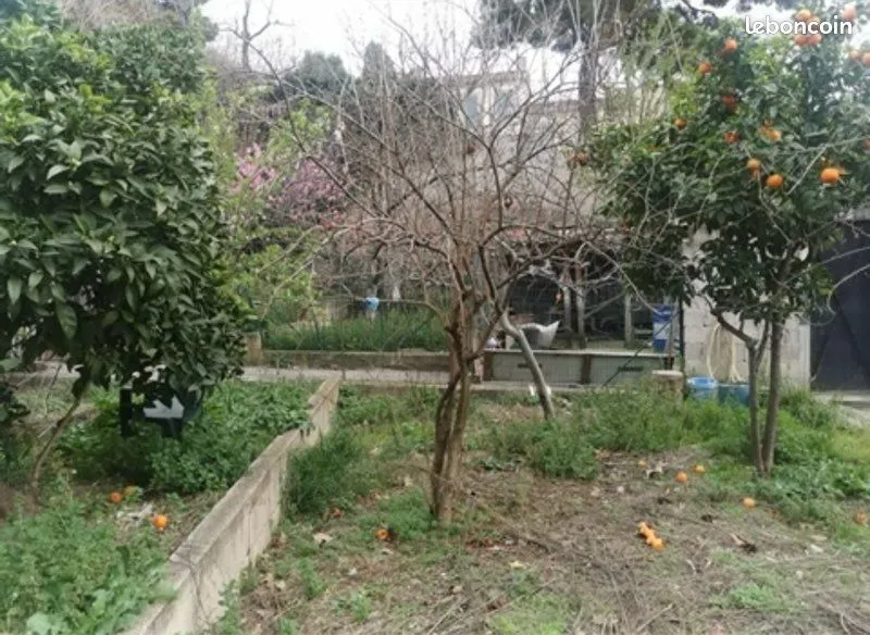 Terrain