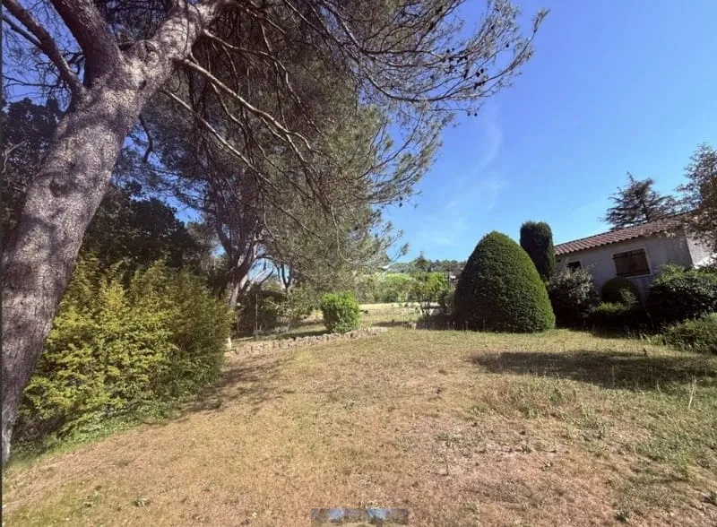 Terrain