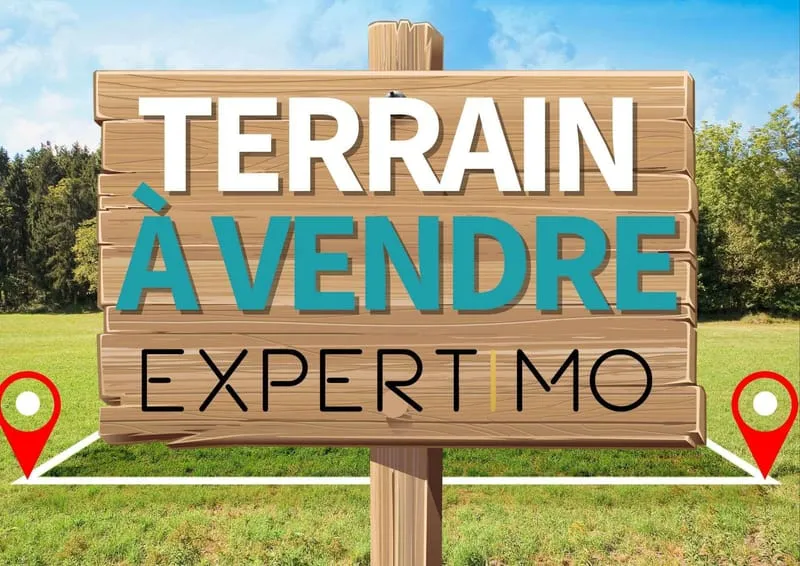 Terrain