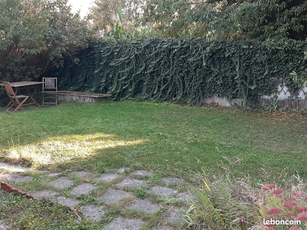 Terrain