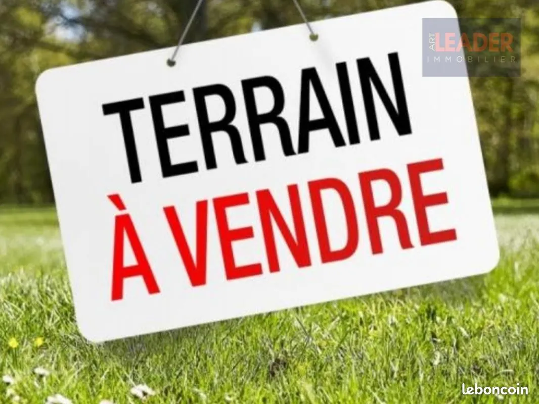 Terrain
