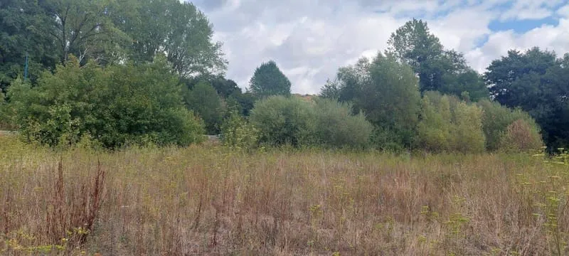 Terrain