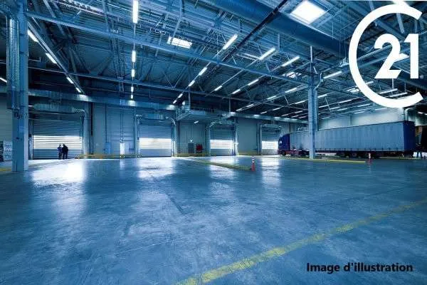 Logistique