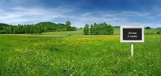 Terrain