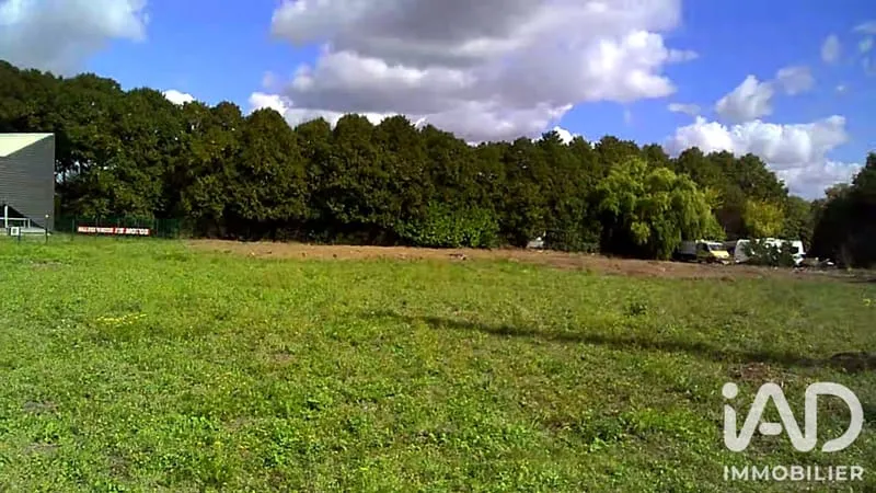 Terrain