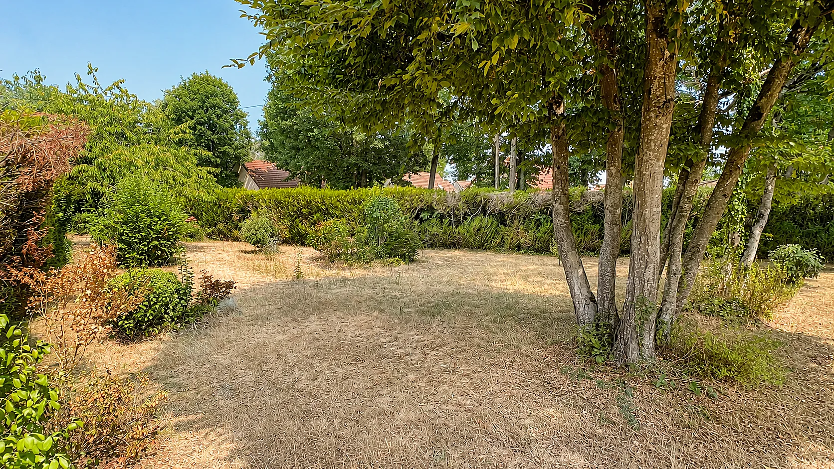 Terrain