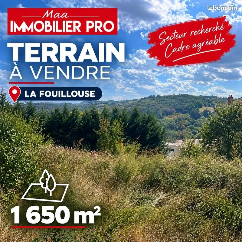 Terrain