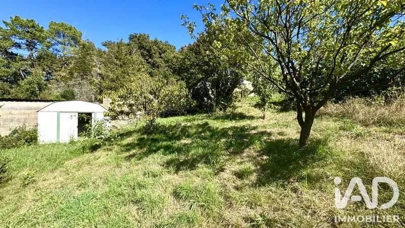 Terrain