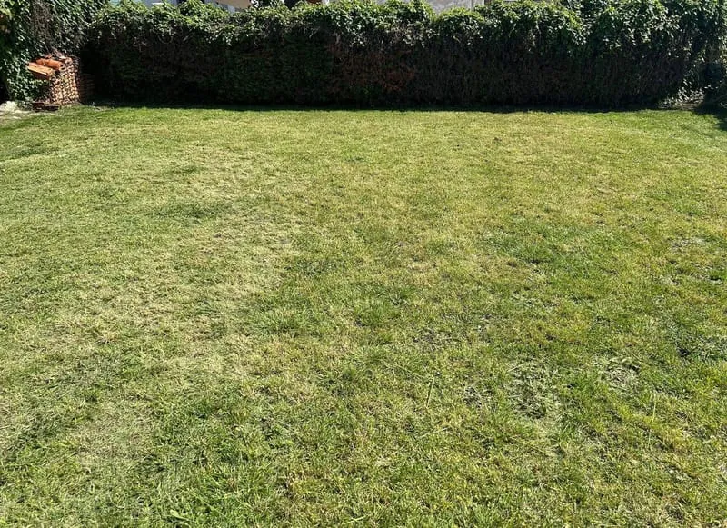Terrain