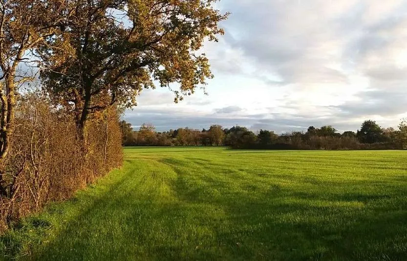 Terrain