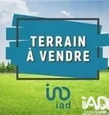 Terrain