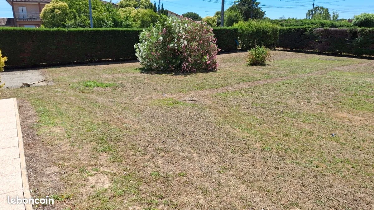 Terrain
