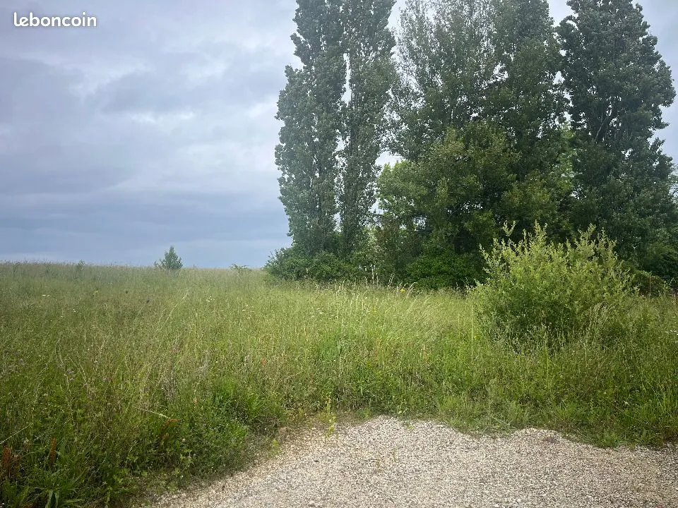 Terrain