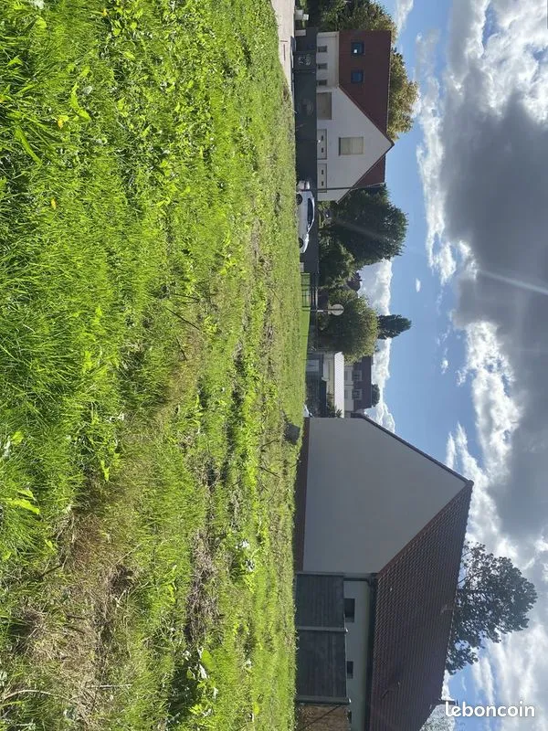 Terrain