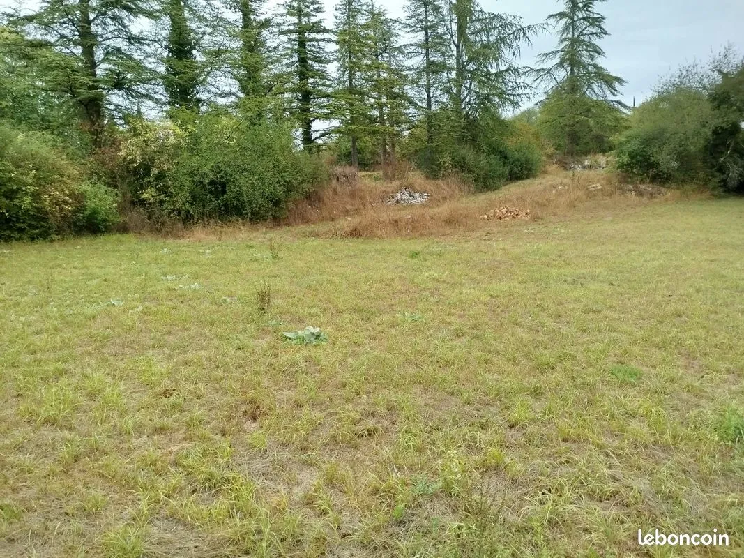 Terrain