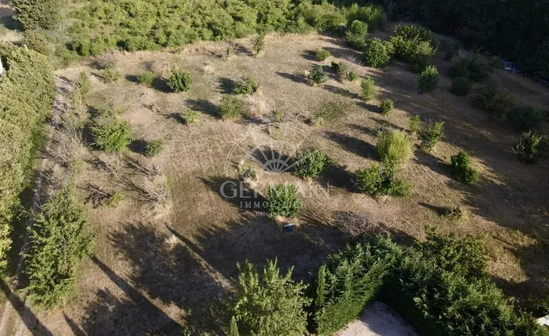 Terrain