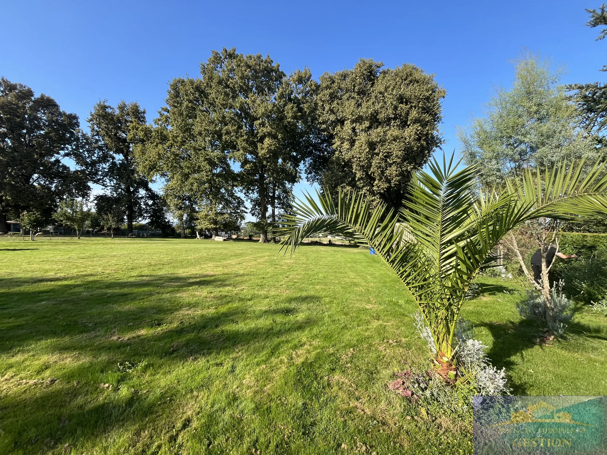 Terrain