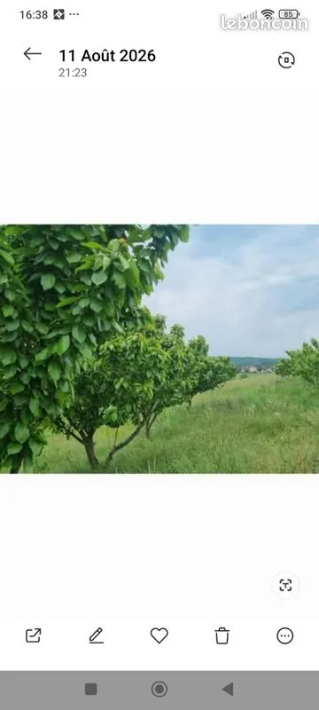 Terrain