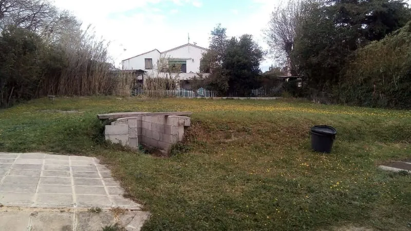 Terrain