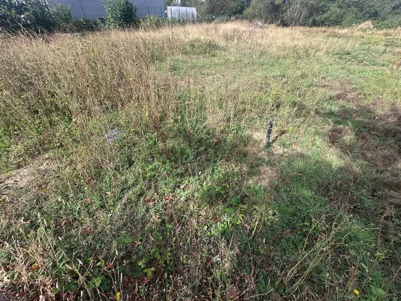 Terrain