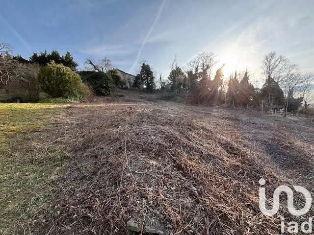 Terrain