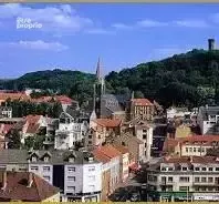 Local commercial