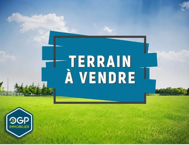 Terrain