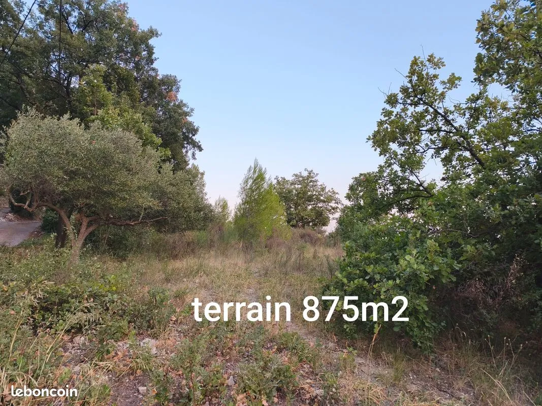 Terrain