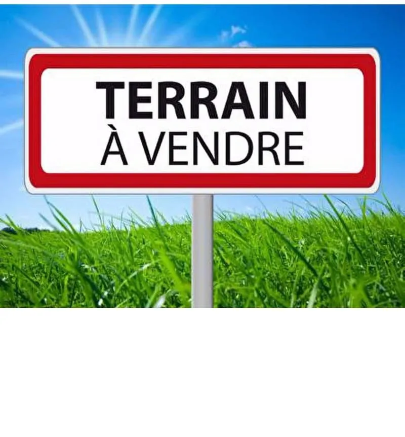 Terrain
