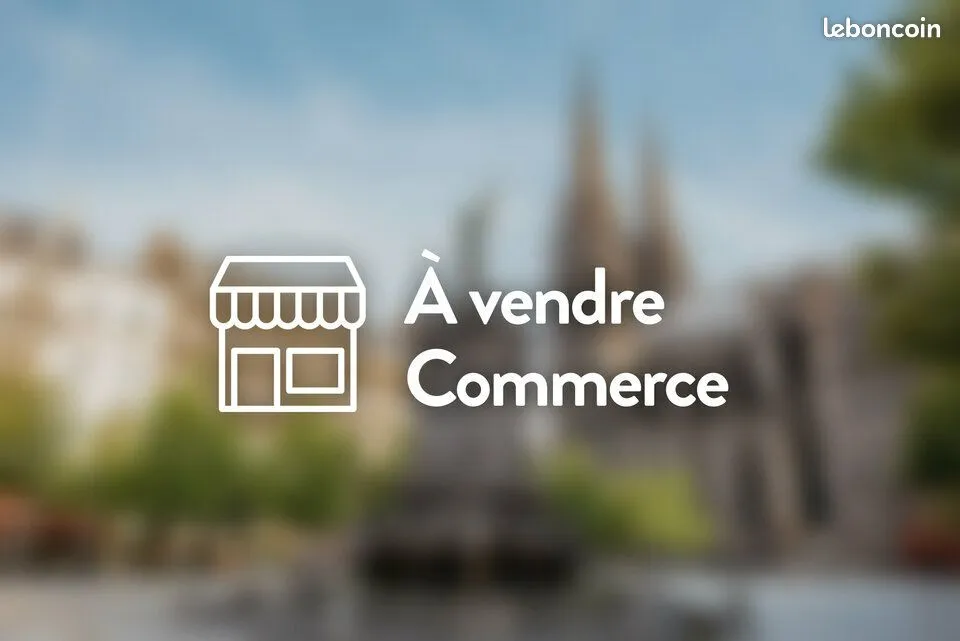Local d'activité