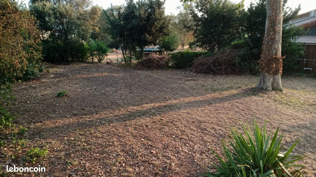 Terrain