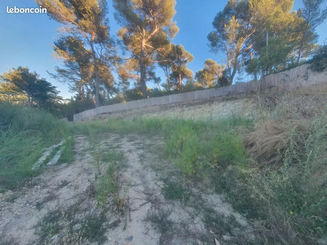 Terrain