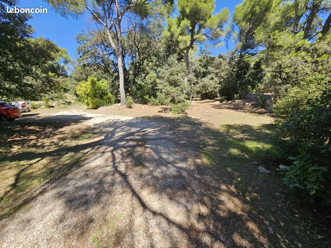 Terrain