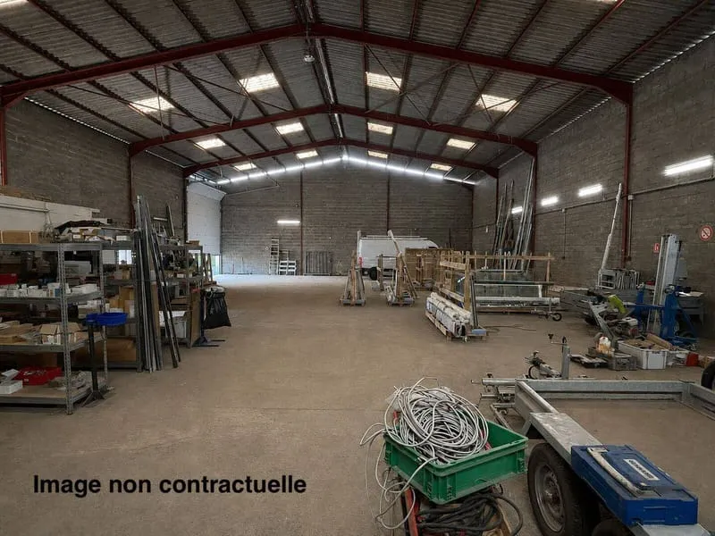 Local d'activité