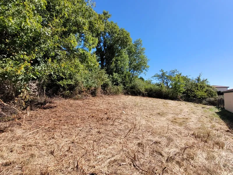 Terrain