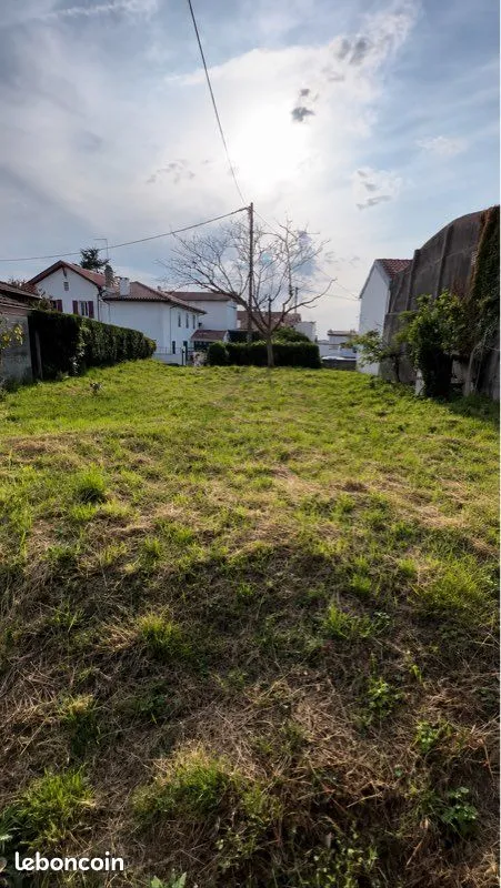 Terrain