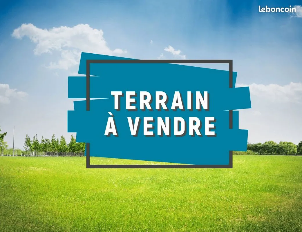 Terrain