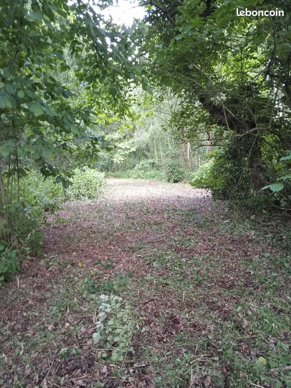 Terrain