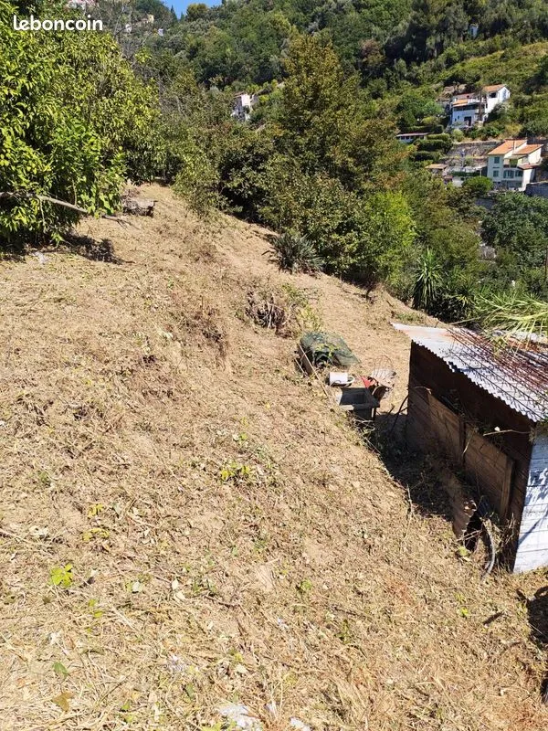 Terrain