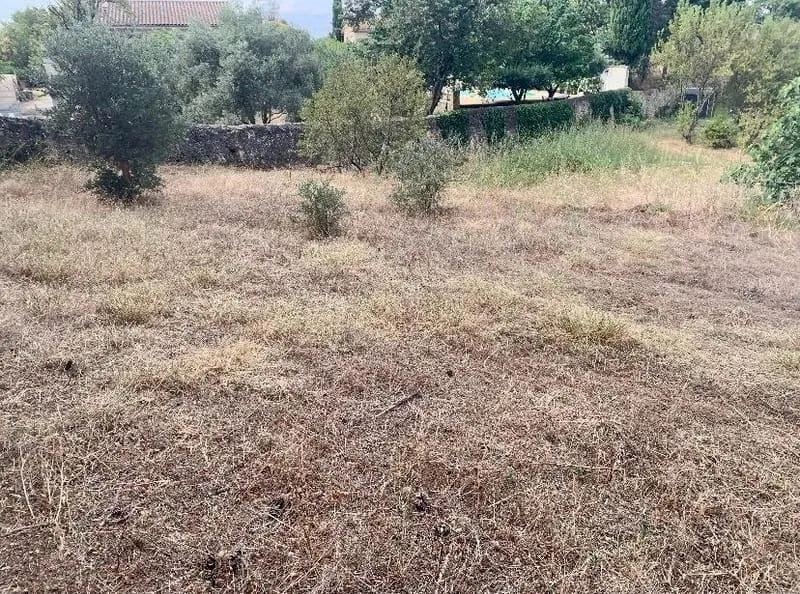 Terrain