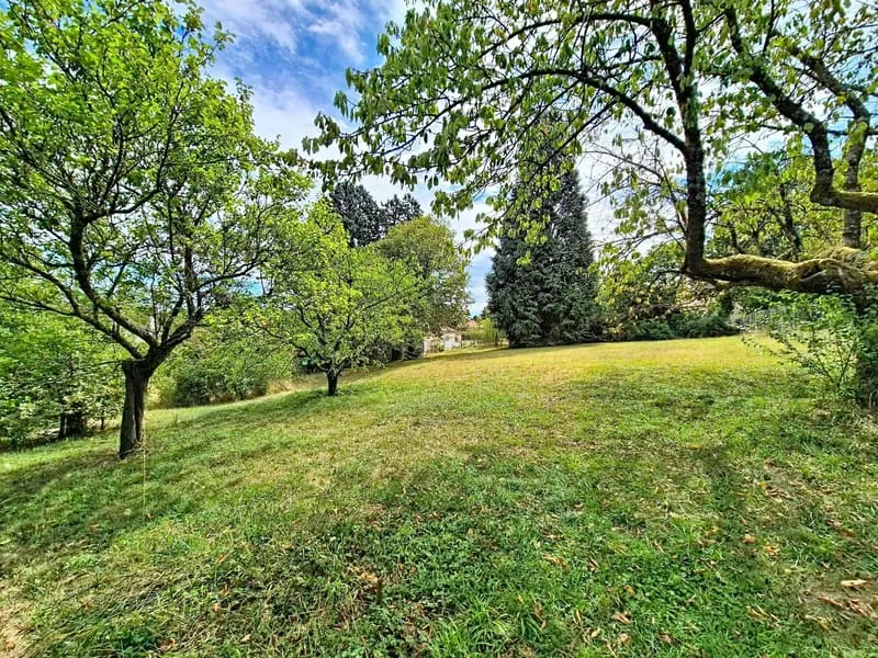 Terrain
