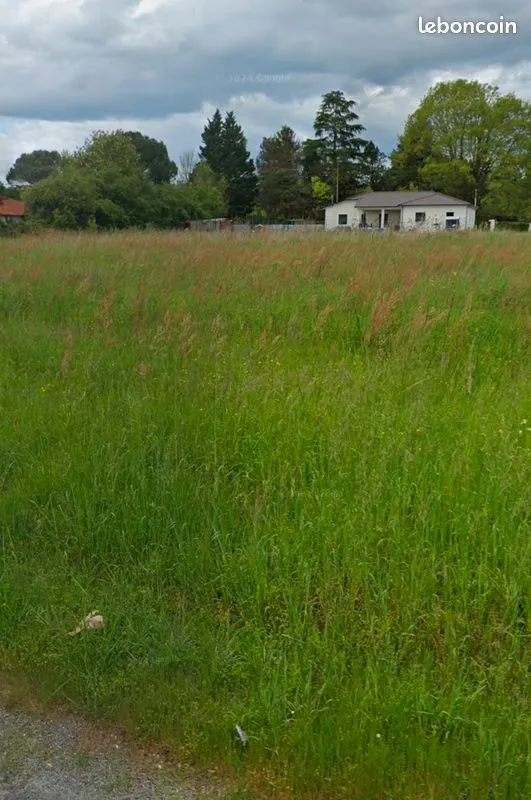 Terrain