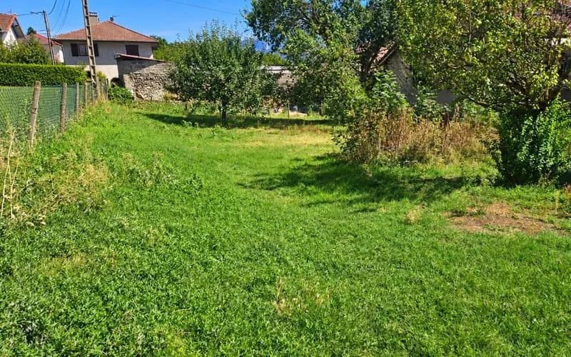 Terrain