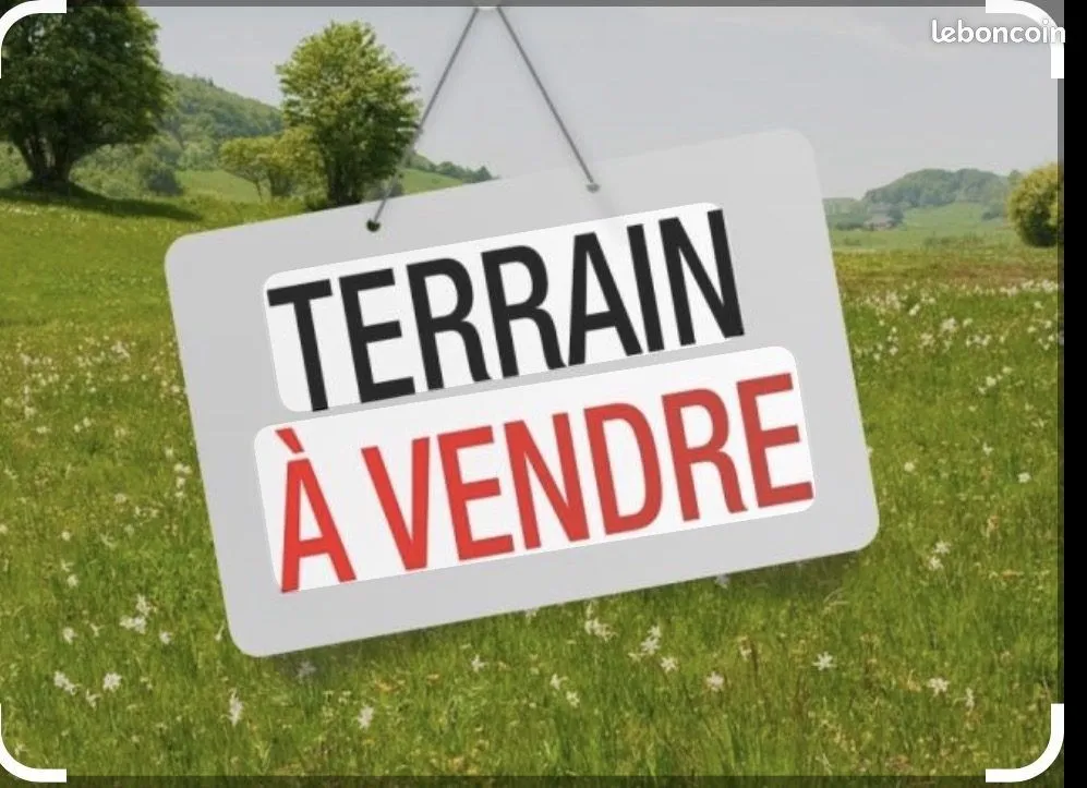 Terrain