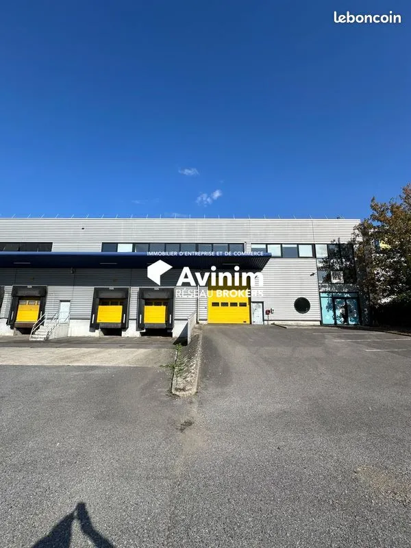 Local d'activité