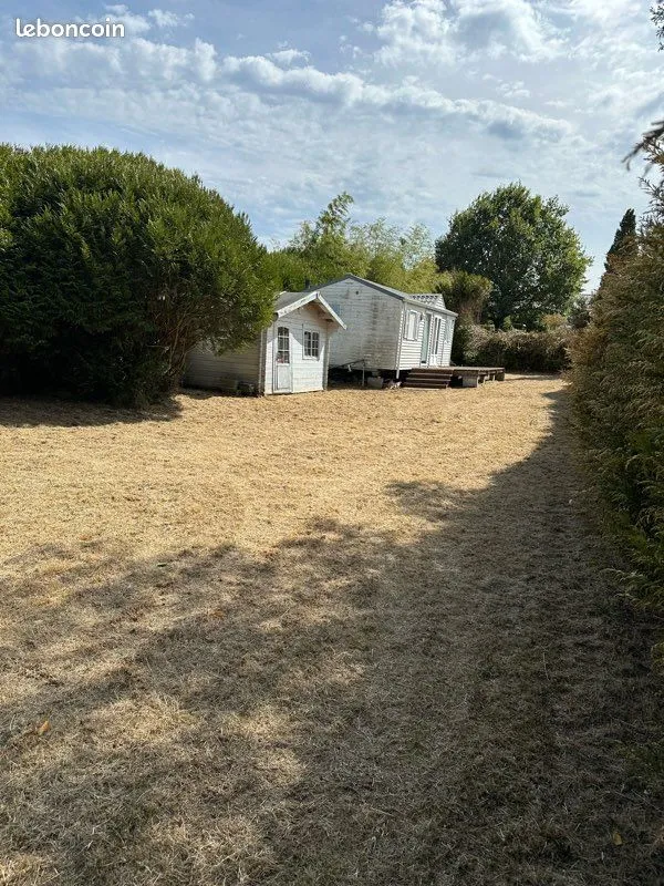 Terrain