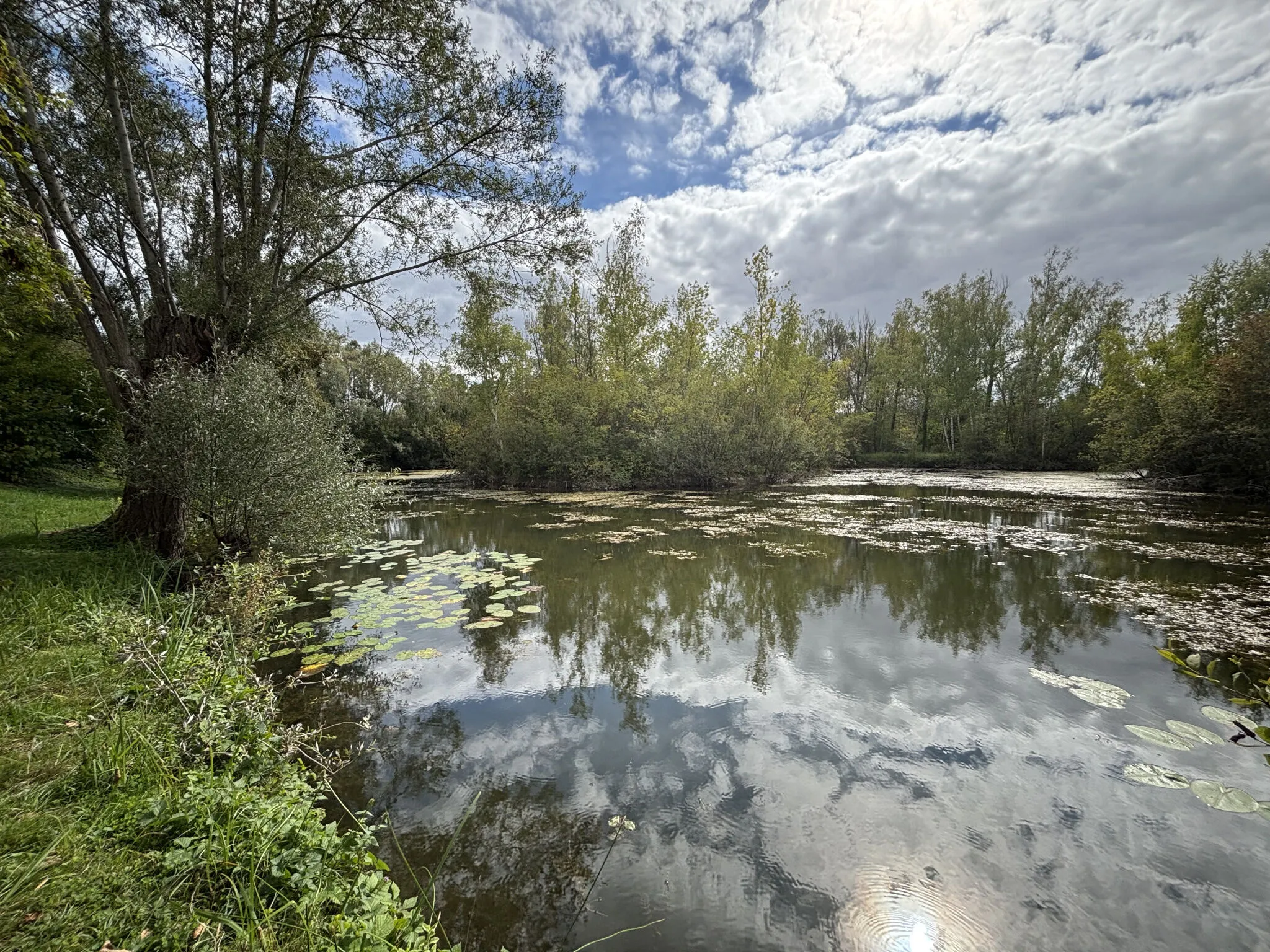 Terrain